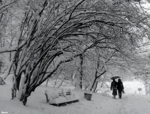 couple-walking-in-snow